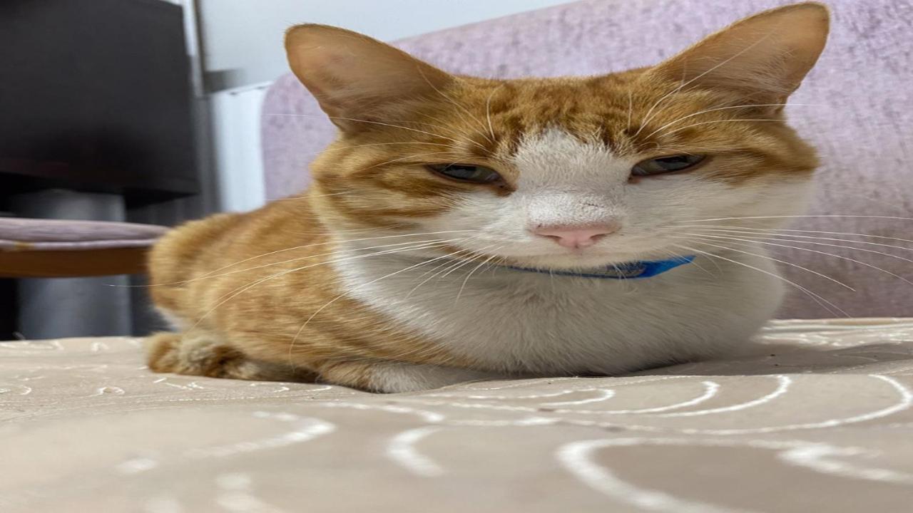 Cityhub Antalya Zewnętrze zdjęcie